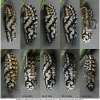 melit didyma pupa4 volg2